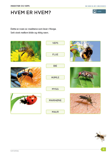 93_Insekter_BM.jpg